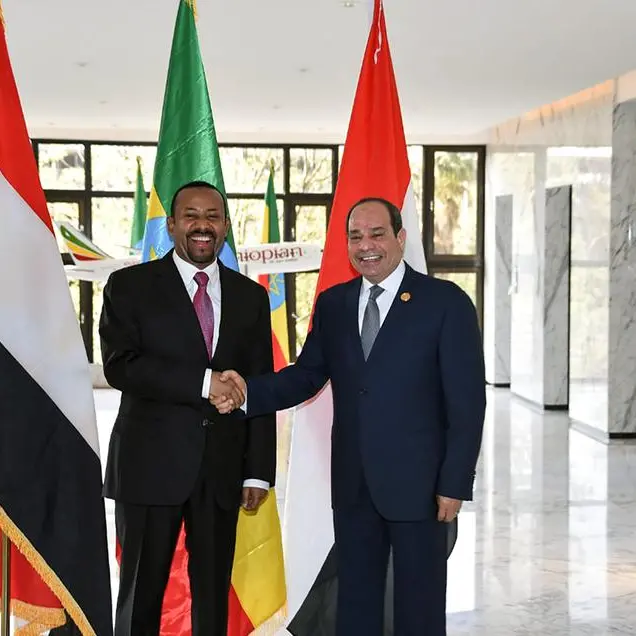 مُحدث: مصر وإثيوبيا تعتزمان التفاوض من أجل اتفاق حول سد النهضة خلال 4 أشهر