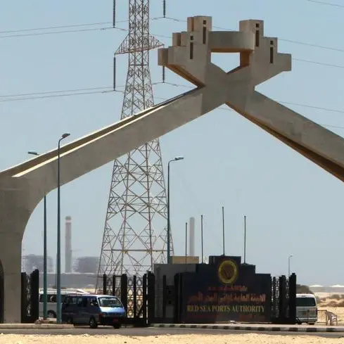 Suez Canal Economic Zone receives 24 new cranes for Hutchison’s automated Sokhna terminal