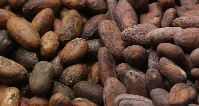Chocolate prices to keep rising as West Africa's cocoa crisis deepens