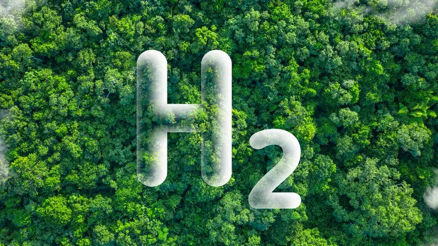 Hydrogen production to surpass 50% of electricity use by 2050: Danfoss