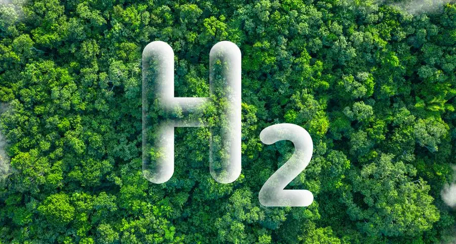 Hydrogen production to surpass 50% of electricity use by 2050: Danfoss