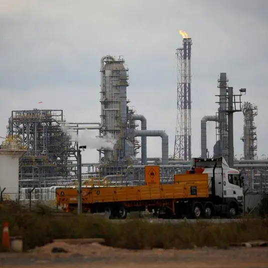 Turkey wealth fund in talks on $10bln petrochemicals project