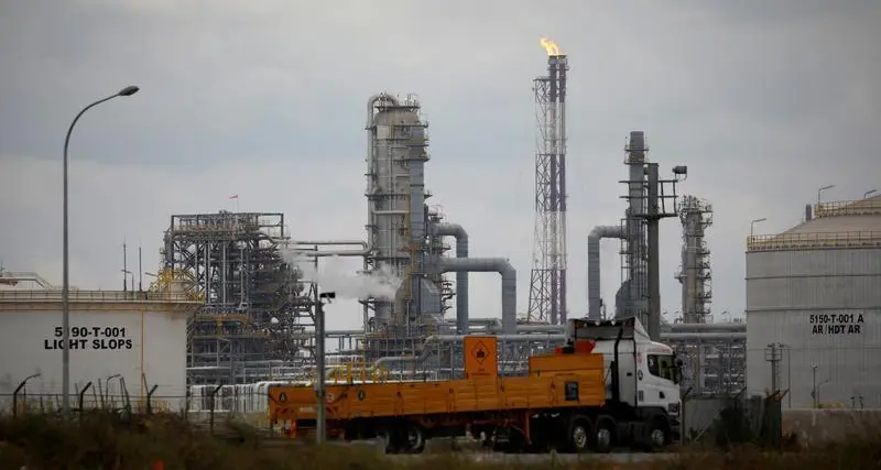 Turkey wealth fund in talks on $10bln petrochemicals project