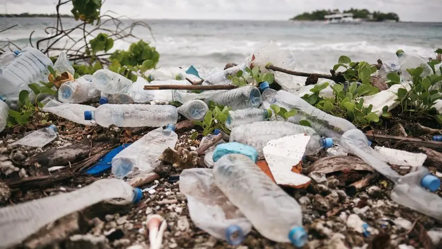 Over 84% of waste in Tunisian coastal marine environment mainly made up of plastics