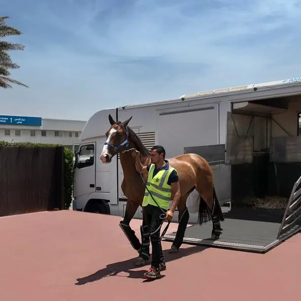 Sharjah Airport completes preparations to provide fast handling horse shipment service