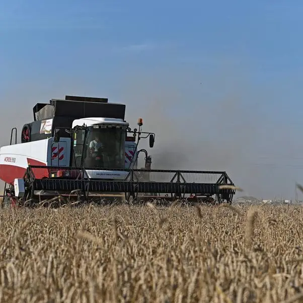 Ukraine's 2023 harvest at almost 77 mln T so far - ministry