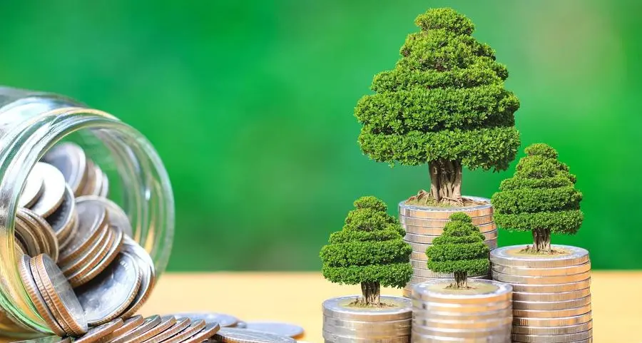 TAQA and Masdar-backed Dhafrah PV2 Energy mandates 17-year WAL green bond