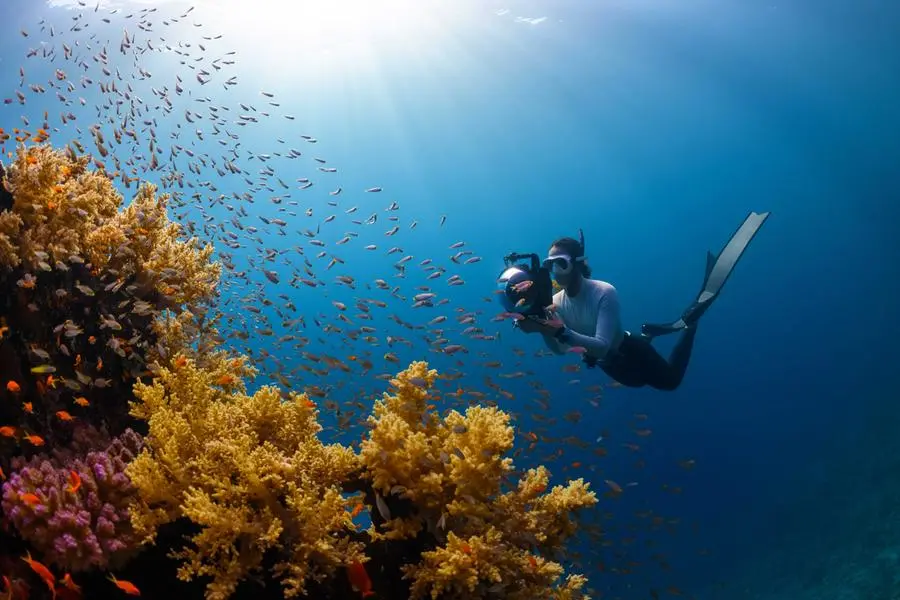 <p>NEOM collaborates with Dive Butler International</p>\\n