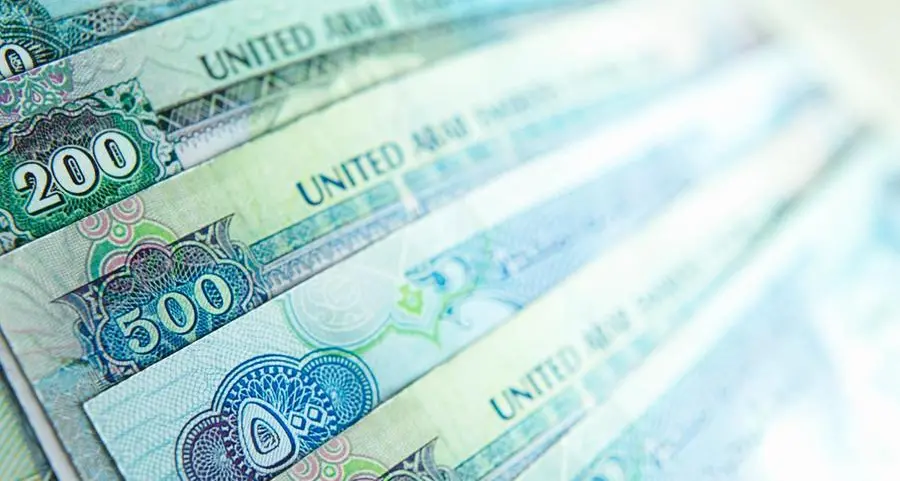 UAE raises federal T-bonds worth over $408mln