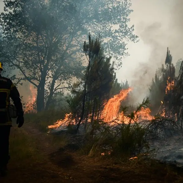 Climate change increasing fire risks in Middle East, say experts