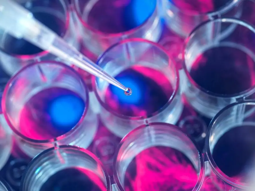 Abu Dhabi wealth fund set to create one of the world’s largest pharmaceutical companies