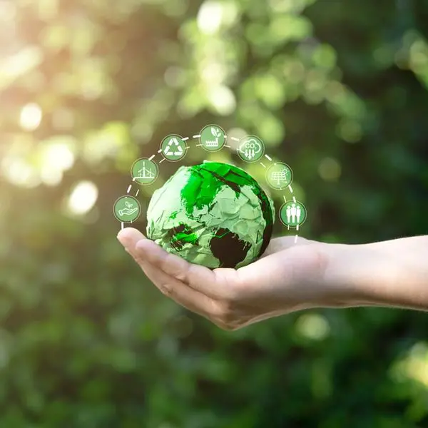 Egypt’s minister urges stronger public-private partnerships for Arab green transition