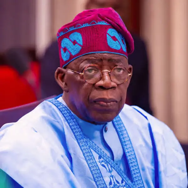 Nigeria on the rise: FDI surges as Tinubu's administration marks one year in office