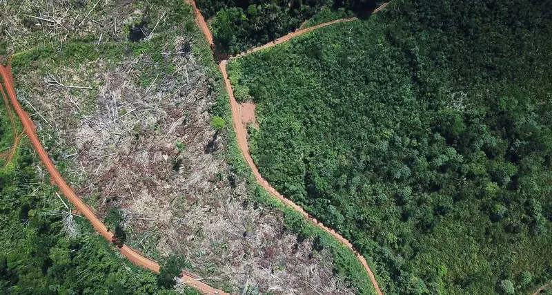 EU seeks deal on law preventing import of deforestation-linked goods