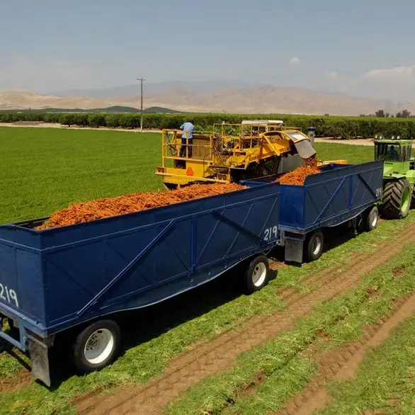 $374,732 smuggled carrots, onions seized in Subic, Philippines