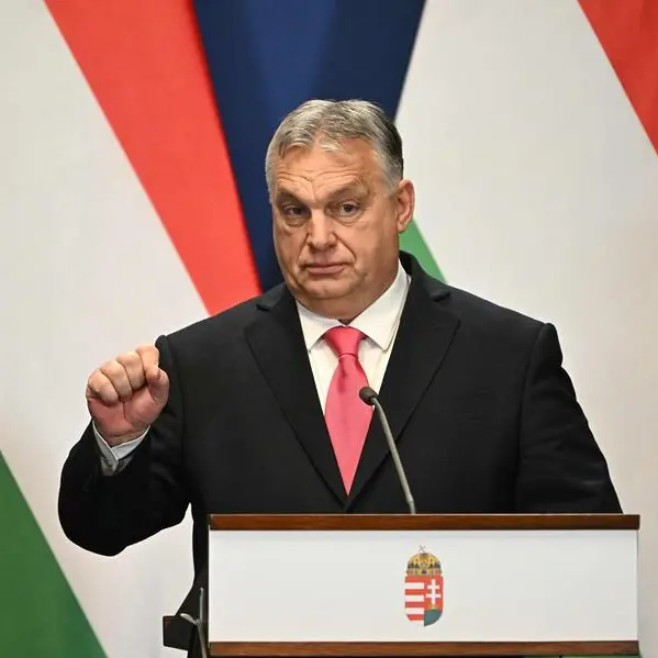 Orban invites Swedish PM to 'negotiate' NATO accession