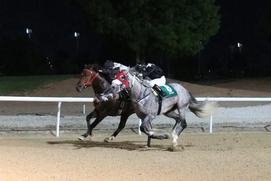 H.H. Sheikh Mansoor Bin Zayed Al Nahyan Racing Festival. Image Courtesy: Al Masaood Automobiles