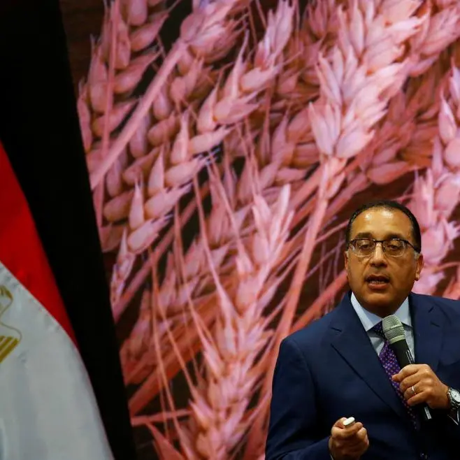 Egypt needs a tentative $1.18bln worth of fuel imports to mitigate power cuts, PM says