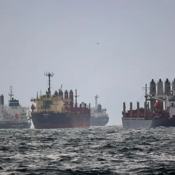 Cargo ship from Ukraine grounded in Bosphorus strait, traffic halted