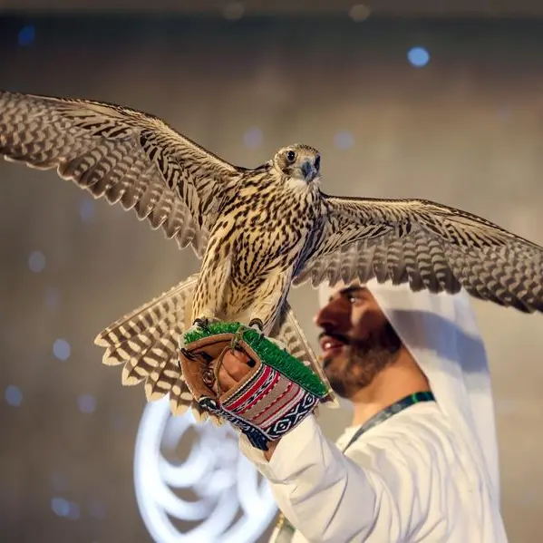 Young falconers contests from Friday in Qatar