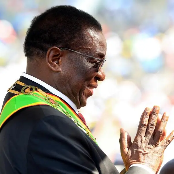 Zimbabwe and Botswana provisionally agree on free movement of citizens