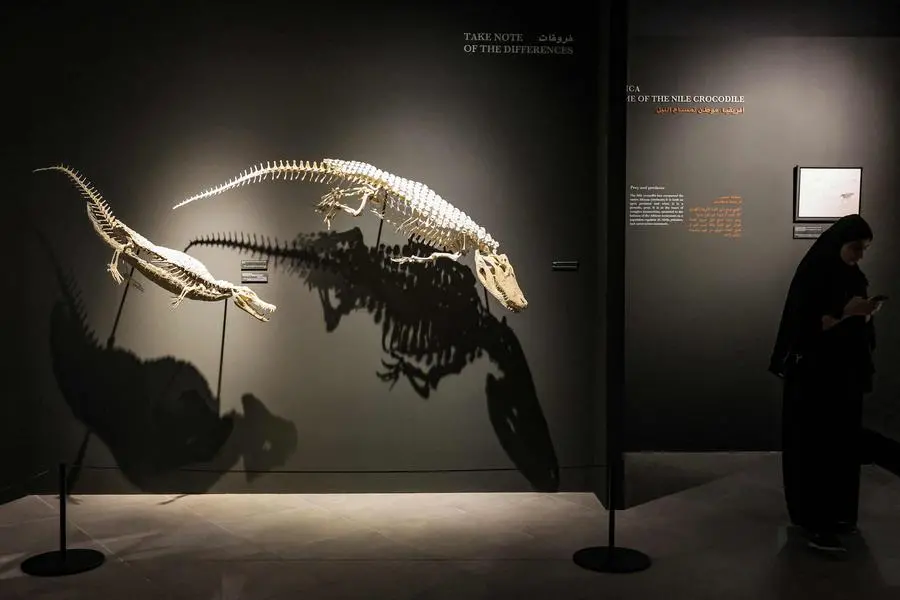 Agence France-Presse (AFP)/AFP