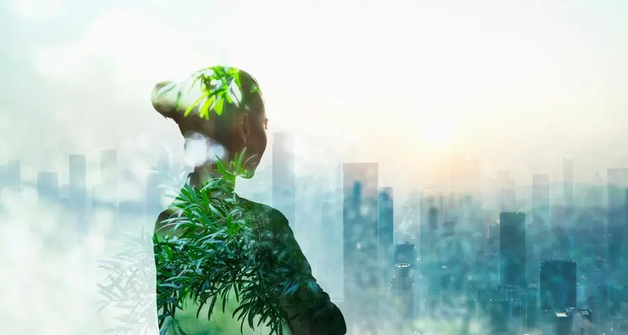 Climate resilience must be a guiding principle of urban development, new report says