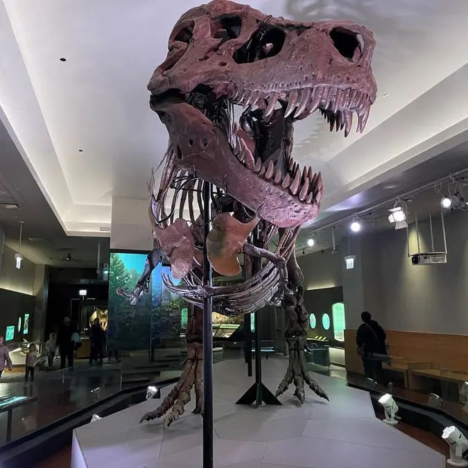 T-Rex skeleton sells for more than $6mln at Swiss auction
