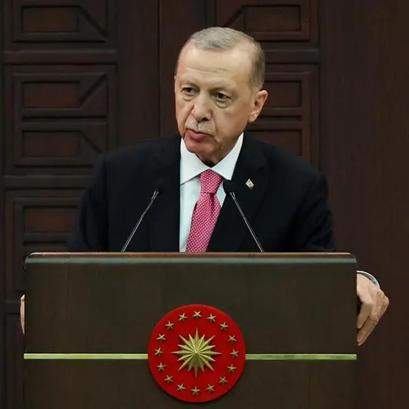 Erdogan considering Erkan as Turkey cenbank chief, sources say