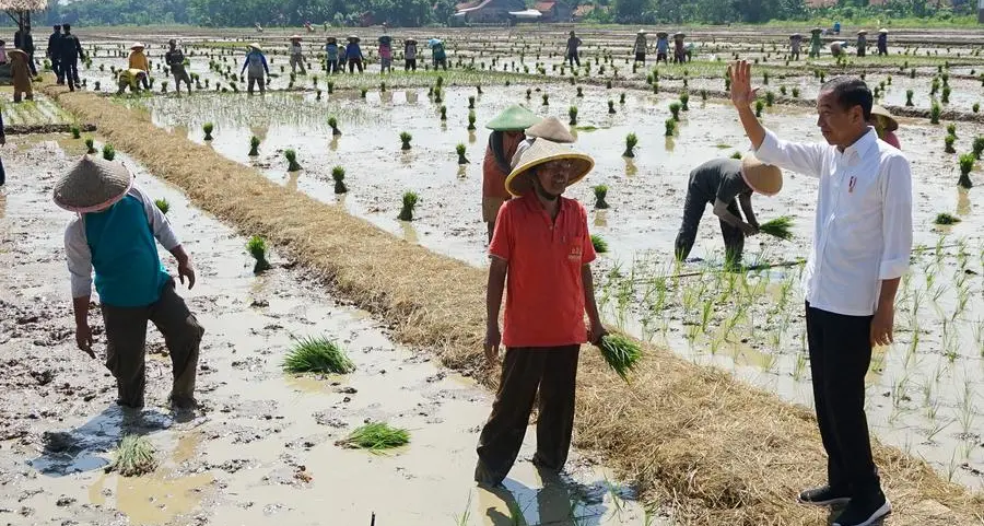 Indonesia seeks 200,000 metric tons of rice from Thailand