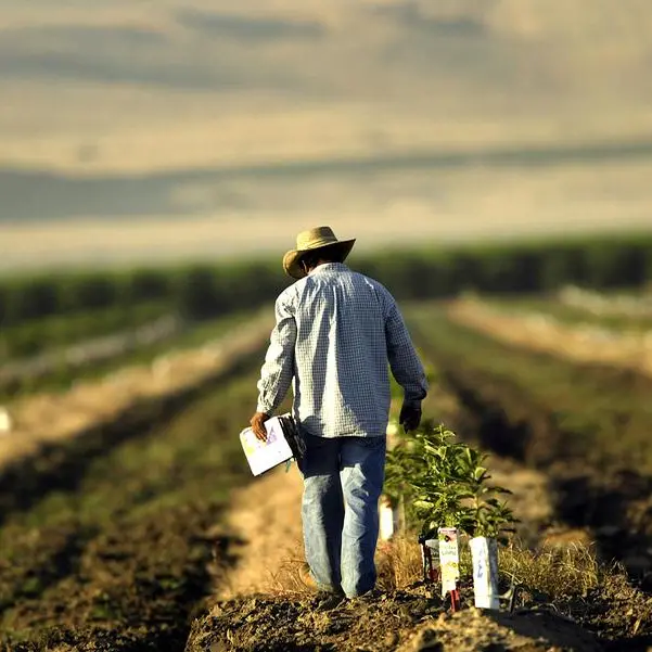 Saudi: SFDA warns against improper pesticide use