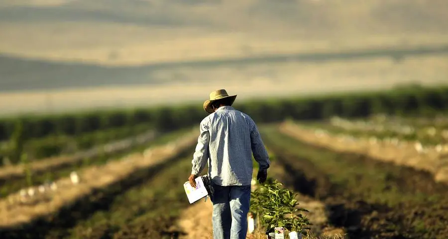 Latin America, the Caribbean map pathway to transform agrifood systems