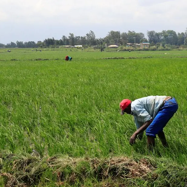 Ras Al Khaimah set to get its first organic fertiliser project