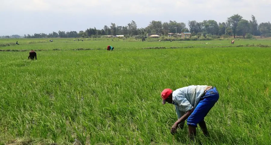 Ras Al Khaimah set to get its first organic fertiliser project