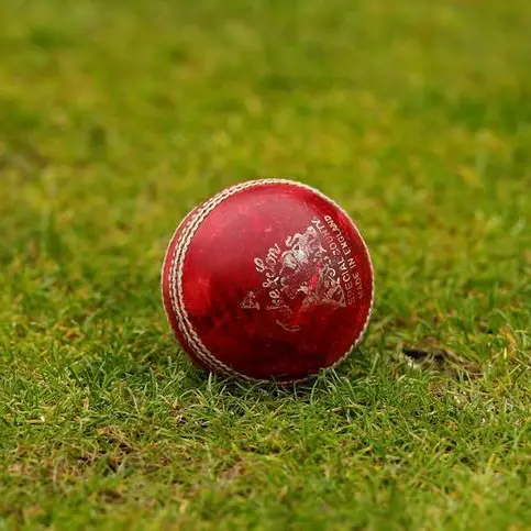 Nepal batter Airee hits six sixes in an over