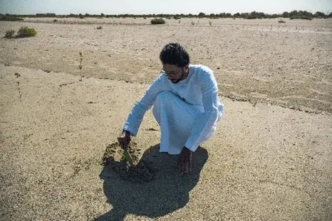 <p>Millennium Hotels and Resorts MEA and The Storey Group join forces to plant 100,000 trees across the world</p>\\n