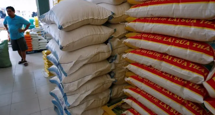 Indonesia secures 500,000-ton rice contract from Vietnam, Myanmar, Pakistan