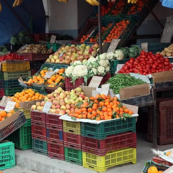 Tunisia: Summer fruit production drops 24%, exports show promising rise in prices