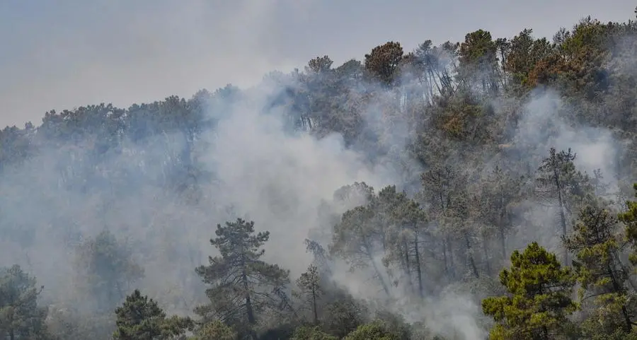 مُحدث- ارتفاع عدد قتلى حرائق الغابات في الجزائر