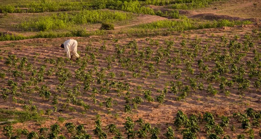 We’ll invest more in agriculture for food security, economic development in Nigeria