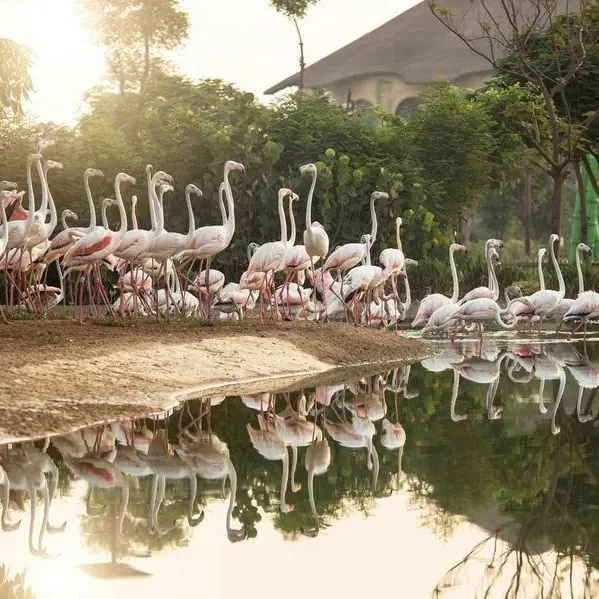 Dubai Safari Park announces opening date of new season