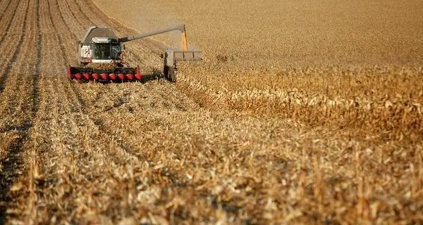 Russian wheat export prices up for the second week, shipments may break record for March