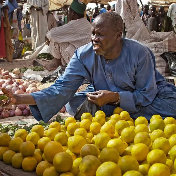 Nigerian FG’s initiative on food security