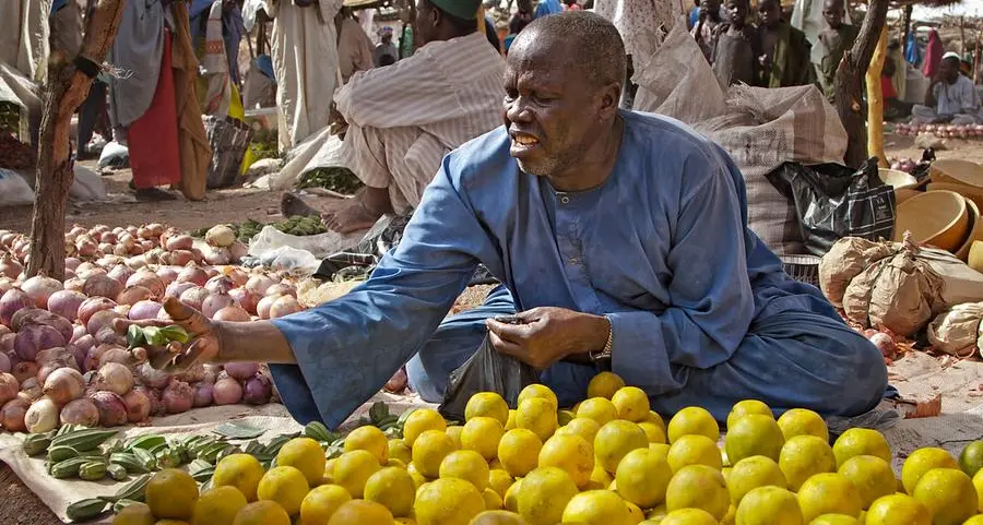 Food security: Nigeria to begin ‘massive production’ of four maize varieties