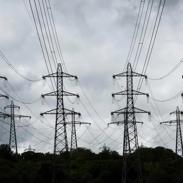 France concerned by potential cyber attack on electricity grid - minister