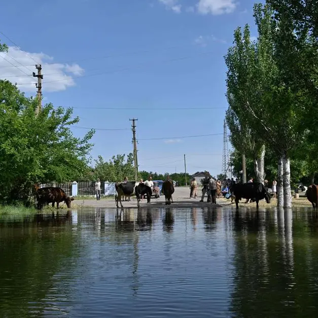 Fighting in south Ukraine as Putin dismisses offensive