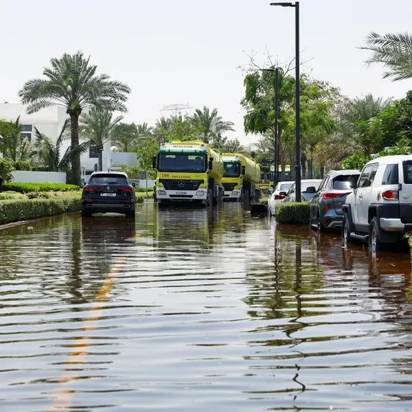 UAE: Mould growing in homes after floods? Experts offer tips to tackle fungi spread