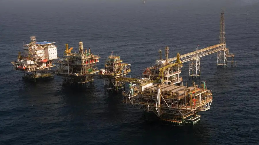 Turning Qatar’s oil rigs into thriving marine habitats