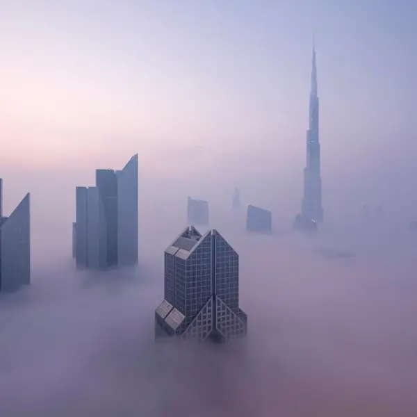 UAE weather: Red alert issued for fog, speed limit reduced due to poor visibility