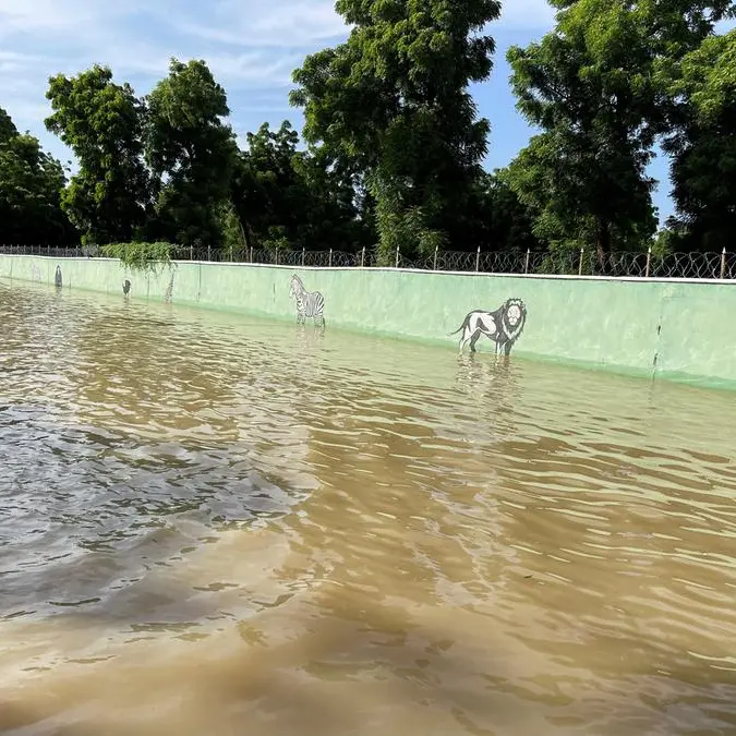 Nigeria: Crocs, snakes, other animals invade communities as flood hits Maiduguri zoo